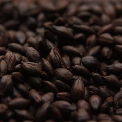 10lb Weyermann  Carafa Special Type 3 Dehusked - Dark Roasted Specialty Malt for Intense Color and Rich Flavors