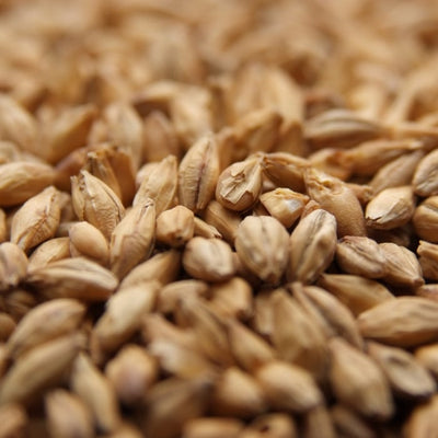Weyermann® Carafoam® Specialty Malt - 10 lb Bag - Enhance Head & Body
