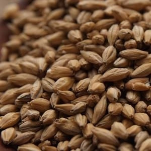 55lb Weyermann F/M Bohemian Dark Malt - High-Quality Roasted Malt for Rich and Malty Beer
