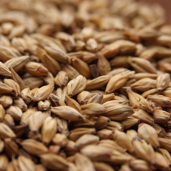 10lb Weyermann Melanoidin Malt - Specialty Malt for Improved Flavor and Aroma in Beer