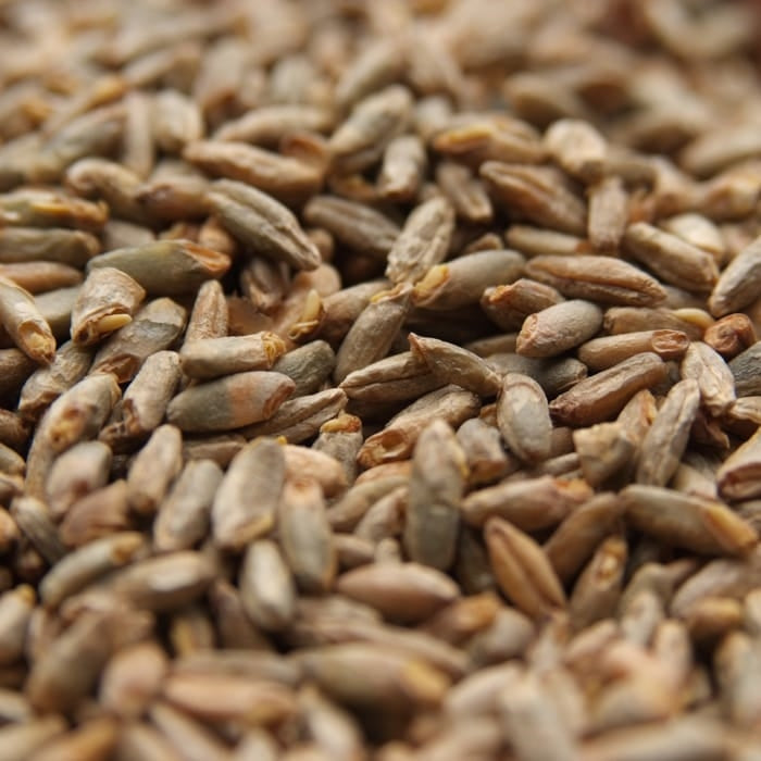 55lb Weyermann Weyermann Rye (Pale) Malt - Premium Quality Rye Malt for Distinctive Flavor in Your Brew