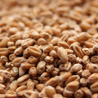 Weyermann® Pale Wheat Malt - 10 lb Bag - Premium German Brewing Grain