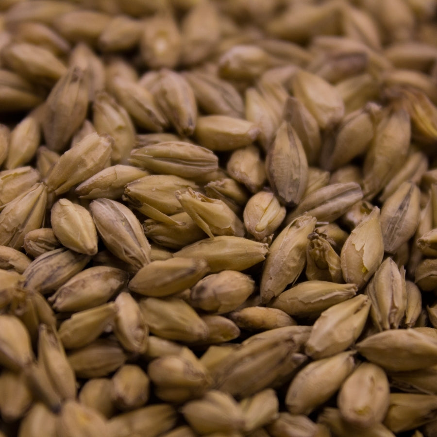 Crisp Scottish Heavy Peated Malt 10lb