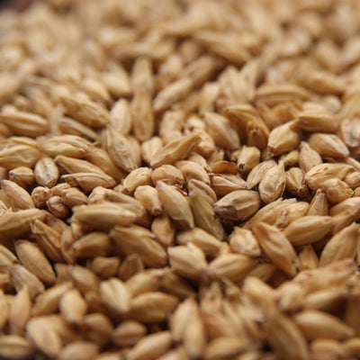 55lb Rahr Standard 2-Row Base Malt