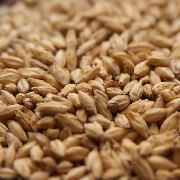 Briess 2-Row Base Malt - High-Quality Grain for Perfect Beer
