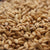 2-Row Base Malt - High-Quality Grain for Perfect Beer
