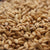 2-Row Base Malt - High-Quality Grain for Perfect Beer