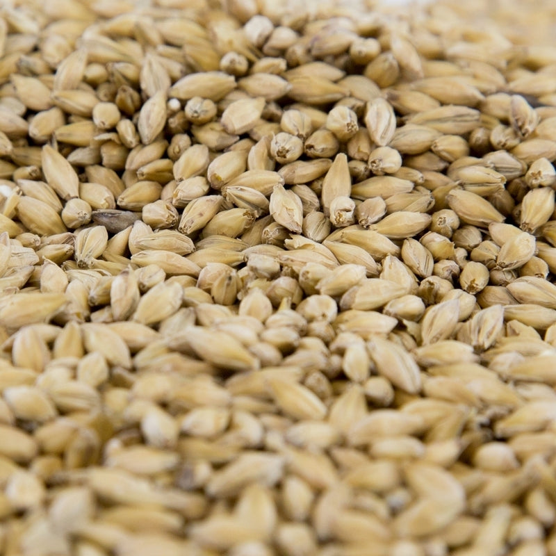 Gambrinus Pilsen Malt - 55 lb Bulk Bag Premium Canadian Base Malt