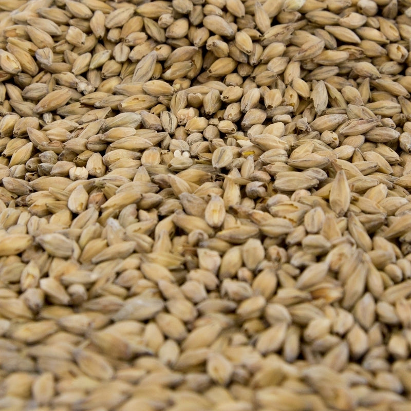 Gambrinus Munich Light 10L Malt - 55 lb. Bulk Bag