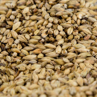 55lb Gambrinus Munich Dark Malt 30-35L