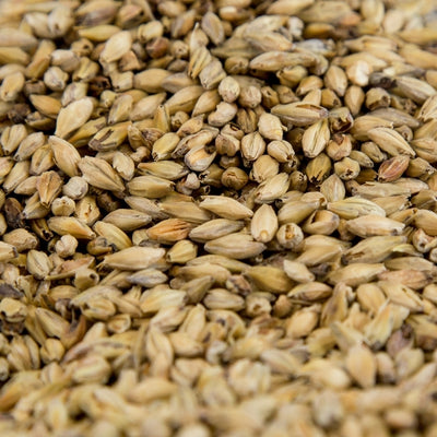 55lb Gambrinus Munich Dark Malt 30-35L