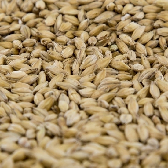 10lb Gambrinus Pale Malt