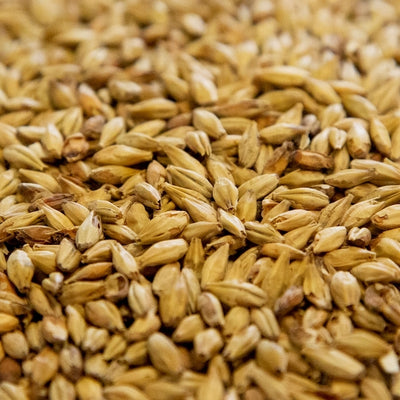 10lb Aromatic Malt by Dingemans