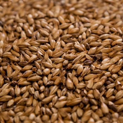 Dingemans Cara 45 Specialty Malt - 10 lb Bag for Red Color & Caramel Flavor