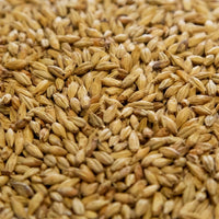 55lb Dingemans Munich