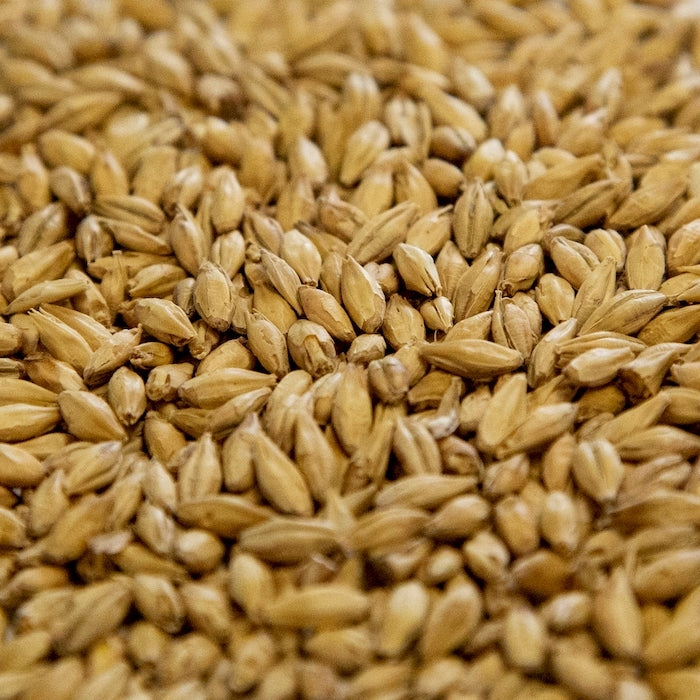 10lb Pilsen Malt by Dingemans