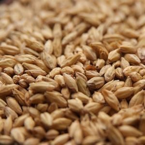 Rahr High DP Distillers Malt - 55 lb. Bulk Bag - Premium Spirit Base