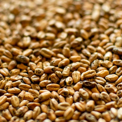 55lb Dingemans Toasted Wheat