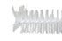 Carboy Brush Plastic Coated
