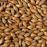 Crisp Scottish Pale Ale Malt 55lb