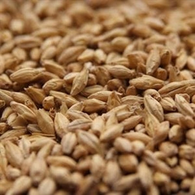 55lb Rahr Old World Pilsner Malt