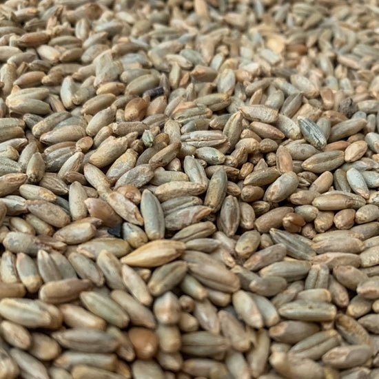 55lb Rahr Unmalted Rye
