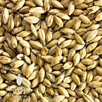 55lb Simpsons Best Pale Ale