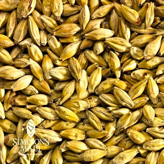Simpsons Munich Malt 55lb