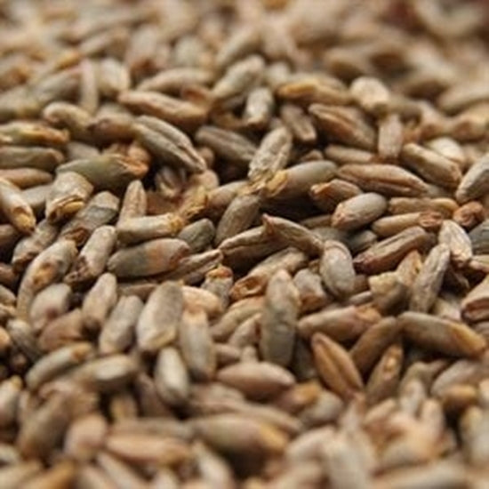 55lb Weyermann Bioland Organic Rye Malt