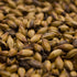 55lb Special W - Belgian Aromatic Malt for Rich, Sweet Aromas