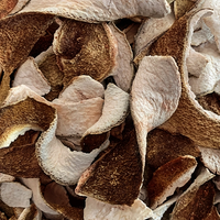 Orange Peel Bitter Slices - 2 lb. Bag - Belgian Style Botanical