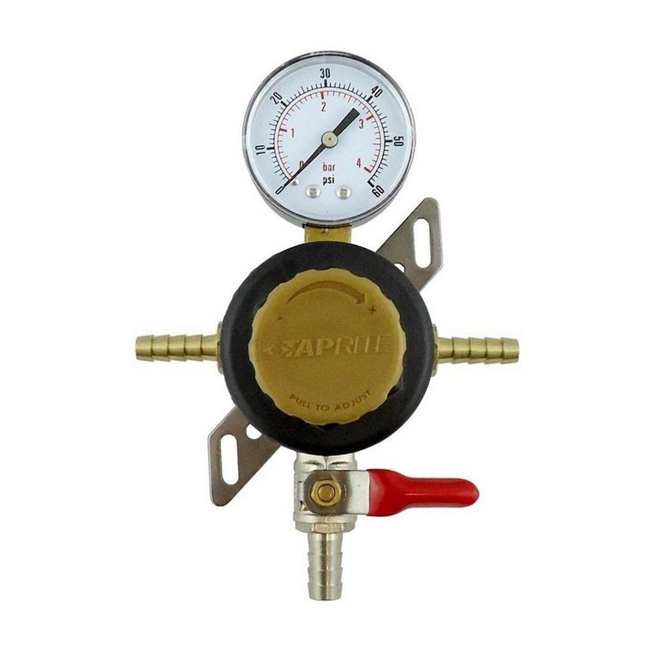 Passthru Reg 3/8inB-So-W/Chk 60:1/4inB'S Tap
