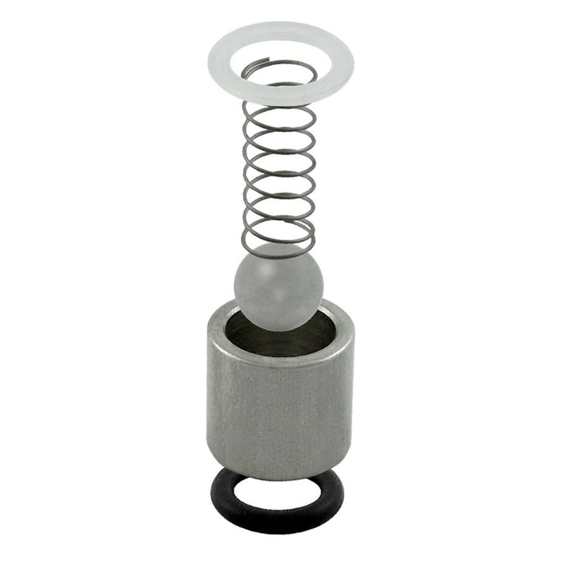 Single Check Valve Rebuild Kit - Professional Grade