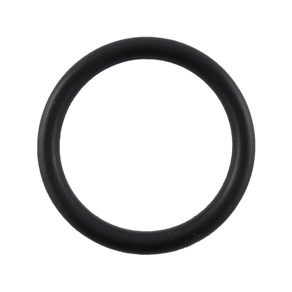 Diffuser O-Ring For Series Ii Only