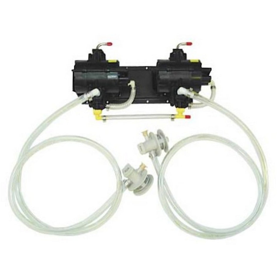 Syrup Pump & Bracket Assy-Qcd Ii 2-Pump Shurflo