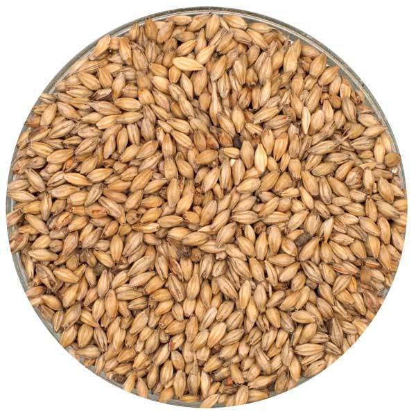 German Munich Brewers Malt