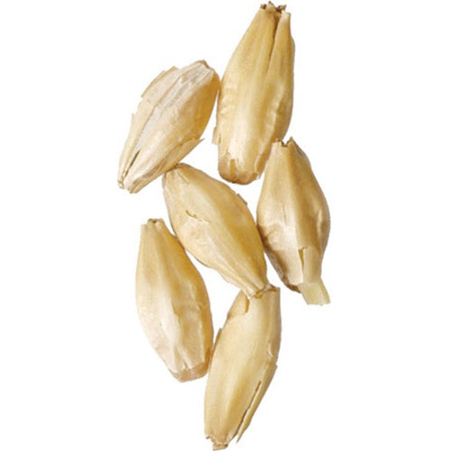 2-Row North American Base Malt for Brewing