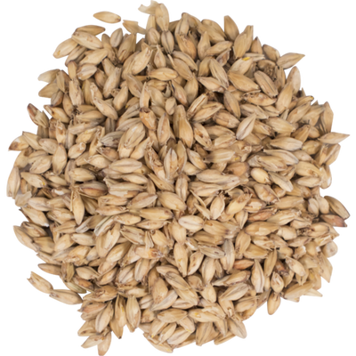 Briess American Pale Ale Base Malt - 3.5°L High-Efficiency Grist