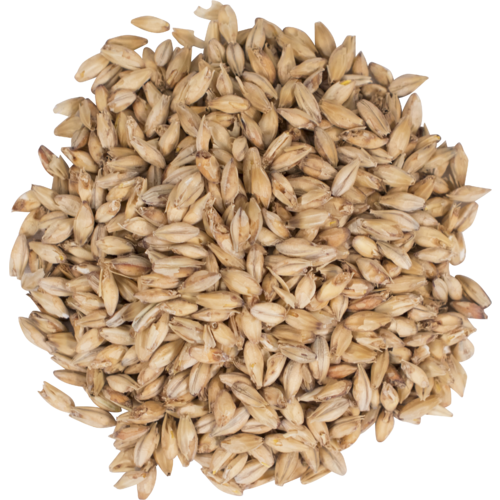 Briess American Pale Ale Malt - 3.5L - High-Quality Grain for Perfect Pale Ales