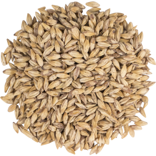 Briess 1 lb Carapils Malt - High-Quality Grain for Home Brewing