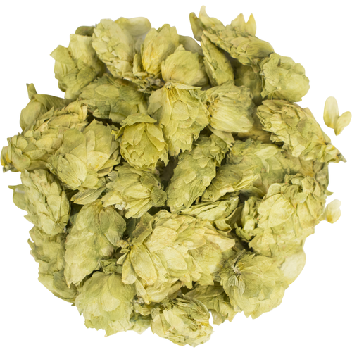 Citra Hops (Whole Cone)