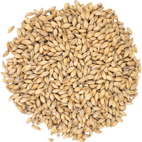 European Pilsner Malt