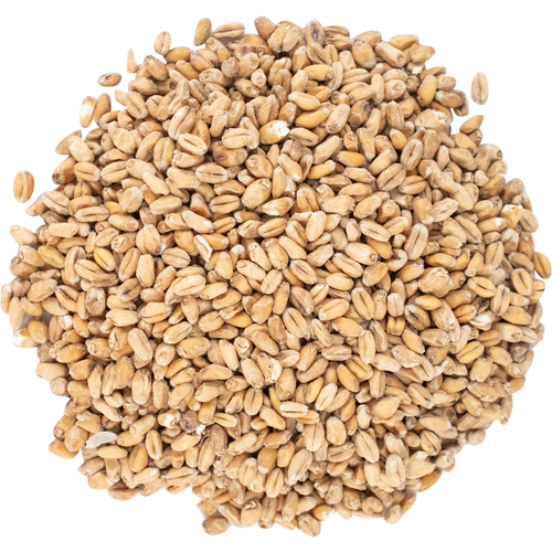 European Wheat Malt