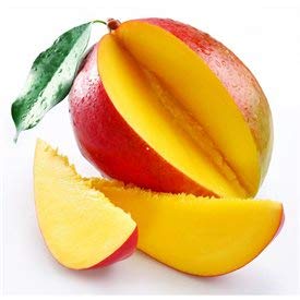 Mango Fruit Puree 49 oz Can