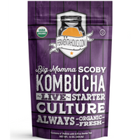 Fermentaholics Big Momma Kombucha SCOBY Starter Culture 6 Inch Pellicle With 12 oz Starter Tea