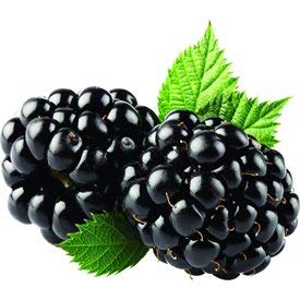 Blackberry Fruite Puree 49oz Can