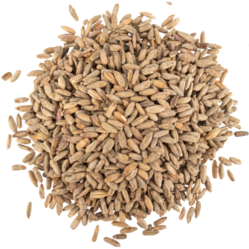 Rye Malt