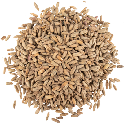 Viking Rye Malt