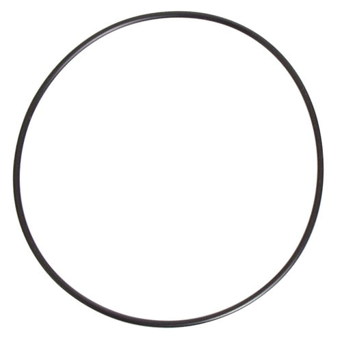 March Nano Brewery Pump - Replacement Gasket