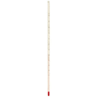 Glass Thermometer - 12 in.